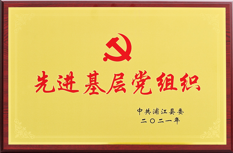 先進基層黨組織